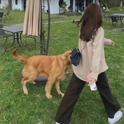 大内密探零零发